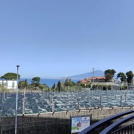 罗塔套房酒店 公寓式酒店 4*